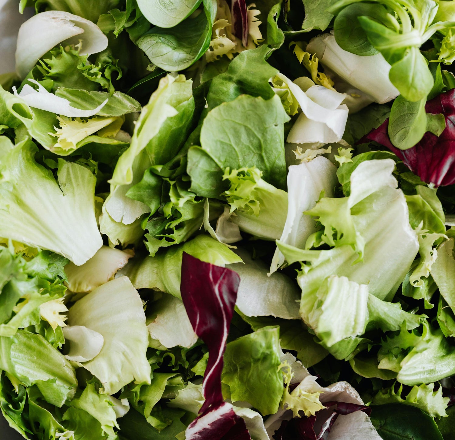 Salad Mixes