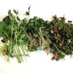 DLucks Microgreens Box